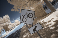 7 - Canada_IR_0009_IC